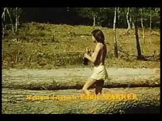 the intimate diary of a woodcutter / le journal erotique d`un bucheron (1974)