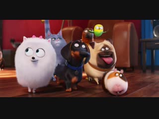 the secret life of pets 2 (news)