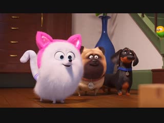 the secret life of pets 2 dubbed teaser trailer