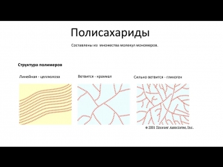 1. chemistry of the cell - inorganics, carbohydrates, fats, proteins (grade 9) - biology, preparation for the exam and the oge